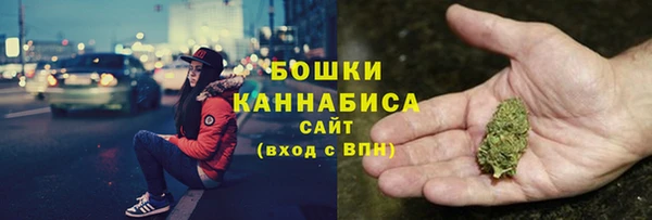 дурь Киреевск
