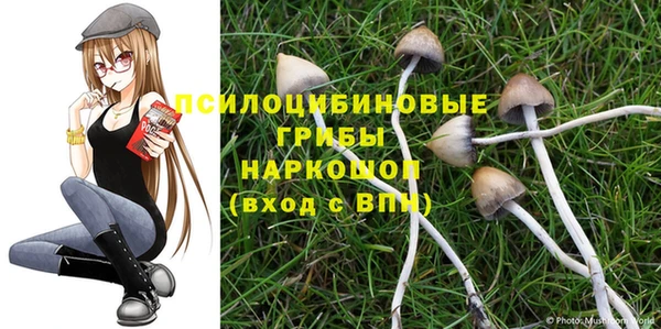 дурь Киреевск