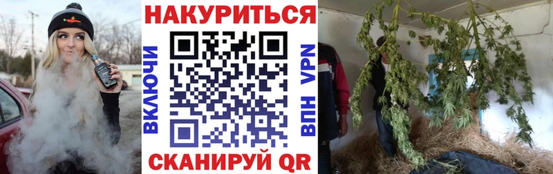 Купить где  Донской  Канабис марихуана 